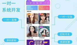 91直播一对一辅导,个性化学习体验，助力学子高效成长